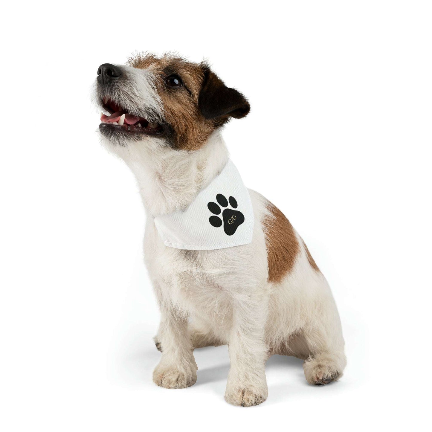 G/G Paw Print Dog Bandana - Grounds & Gains